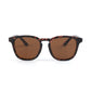 Sundog Eyewear VERVE Sunglasses