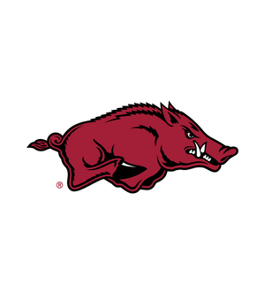 Desert Fox NCAA Phone Caddy and Wireless Speaker - Arkansas