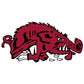 Titleist StaDry Single Canopy Umbrella Arkansas Razorback Logo