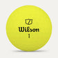 Wilson Staff Model Golf Balls