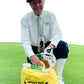Golf Training Aids Golf Impact Bag® by Dr. Gary Wiren