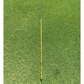 Leadbetter Swing Aids The StraightAway AIMSTICK