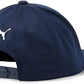 Puma Youth Pars and Stripes P Hat