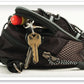 Arkansas Razorbacks Mini Day Pack