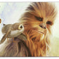 Star Wars Fan Towels 16" x 25"