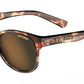 Tifosi Optics Svago Sunglasses